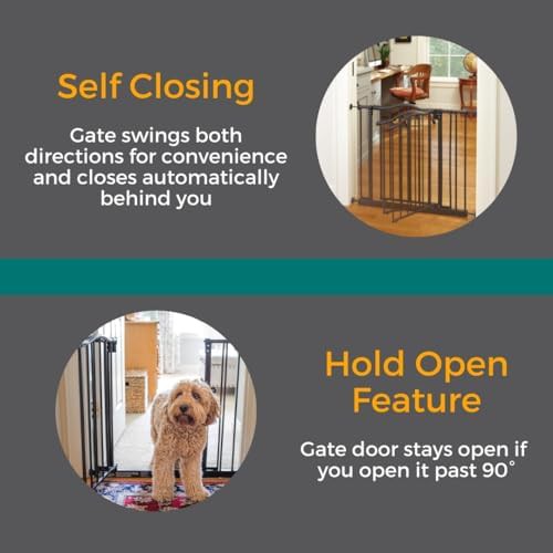Windsor Arch Matte Bronze Steel Pet Gate — photo 5