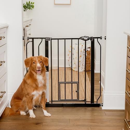 Black metal walk through pressure mount gate