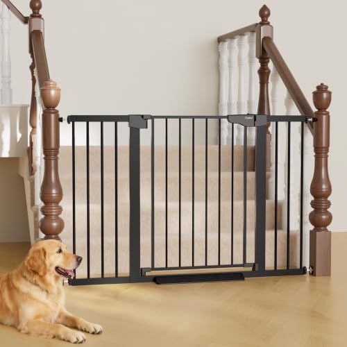 Walk Through Metal Stairs Gate in Black