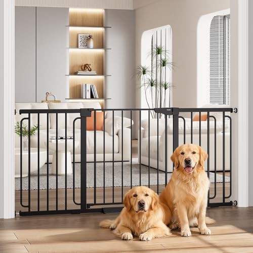 Extra Wide Walk Through Black Metal Gate