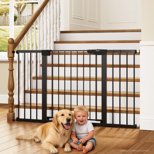 Standard Auto Close Black Gate for Stairs